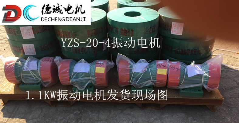 YZS-20-4振动电机发货_副本.jpg